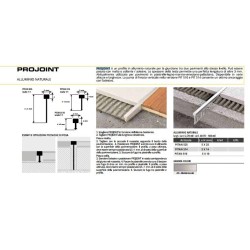 PROJOINT