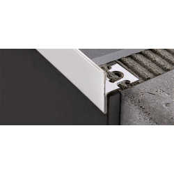 PROTERMSTEP