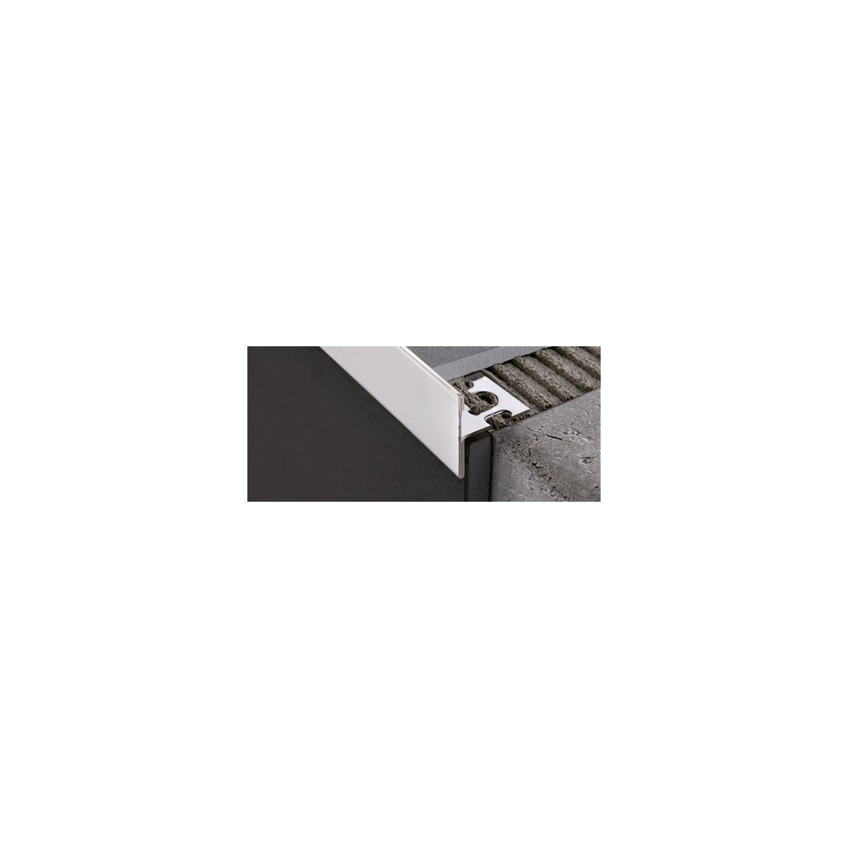 PROTERMSTEP