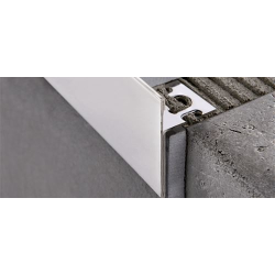 PROTERMSTEP